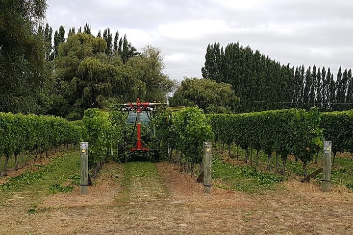 Half-Day Marlborough Wine Tour: Small-Group Tastings from Picton & Blenheim photo 3