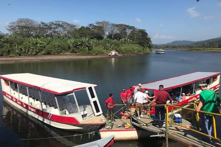 Tarcoles River Crocodile Tour — Classic Boat Cruise from Jaco photo 4