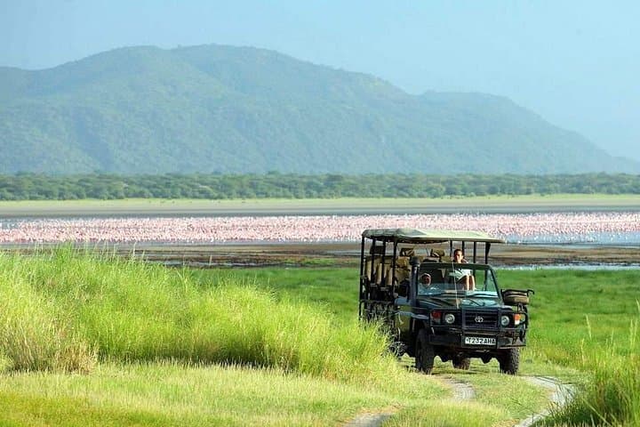 Budget 4-Day Camping Safari to Serengeti & Ngorongoro from Arusha photo 4
