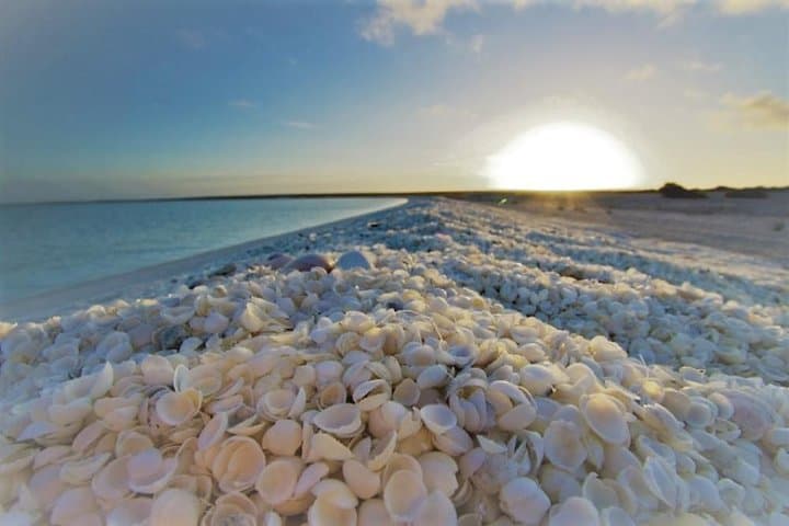 Perth to Monkey Mia: Shark Bay Air Tour & Dolphin Encounter photo 5