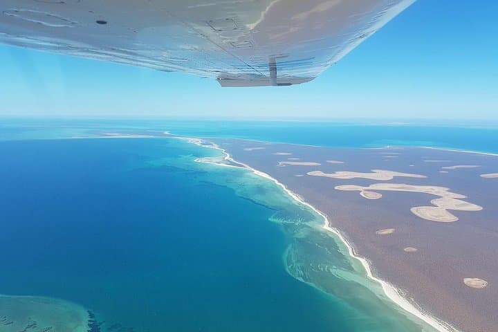 Perth to Monkey Mia: Shark Bay Air Tour & Dolphin Encounter photo 3