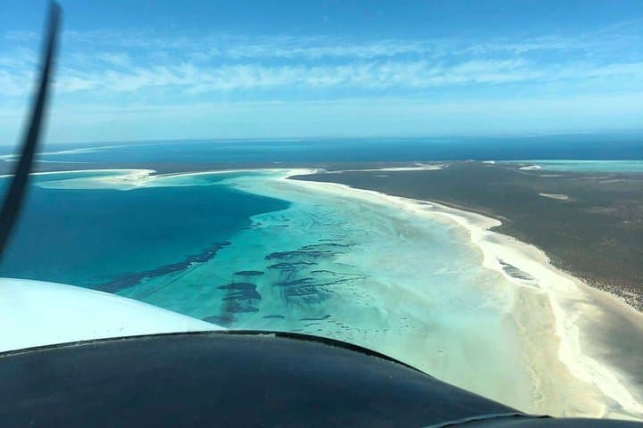 Perth to Monkey Mia: Shark Bay Air Tour & Dolphin Encounter photo 2
