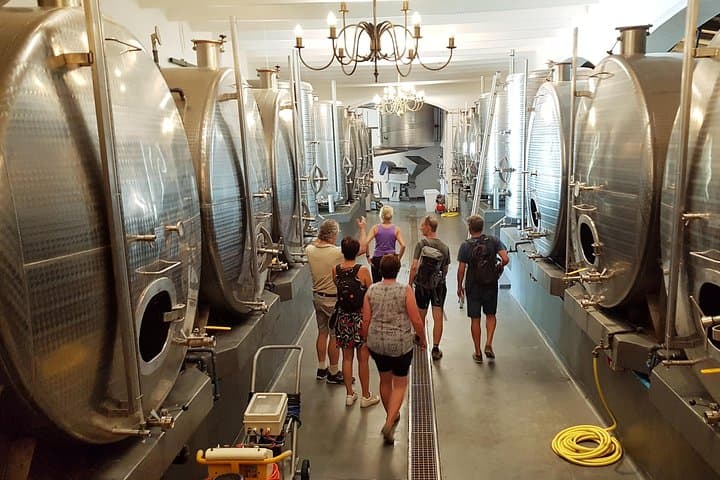 E-Bike Stellenbosch to Franschhoek: Winelands Cycling Tour with Wine Tasting photo 4