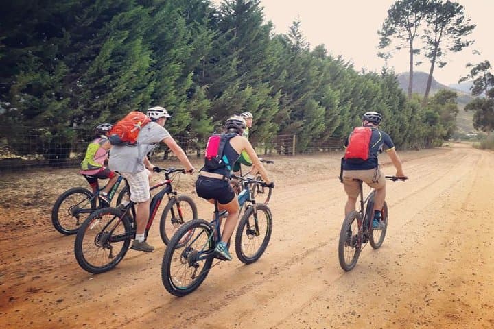 E-Bike Stellenbosch to Franschhoek: Winelands Cycling Tour with Wine Tasting photo 2