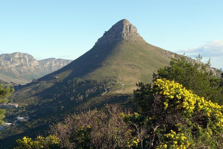 Cape Town to Cape Point Private Day Tour: Penguins, Chapman's Peak & Cape of Good Hope photo 3