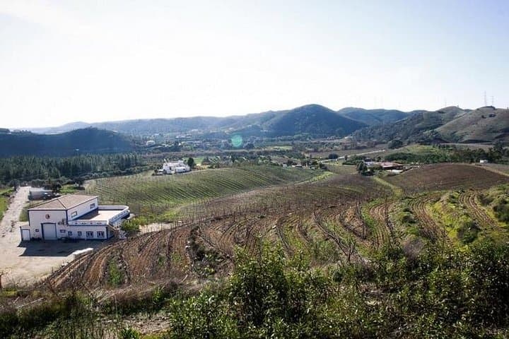Sunset Wine and Foia Peak: Algarve Wine Tour with Mountain-Top Lunch or Dinner photo 4