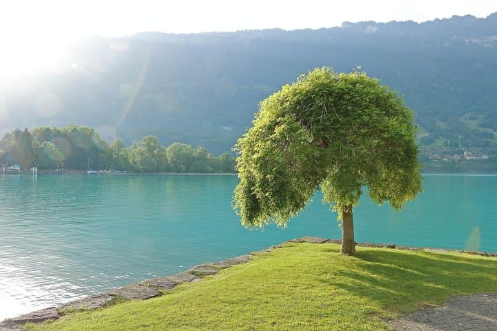 Interlaken Day Trip from Geneva: Explore the Bernese Oberland by Bus photo 3