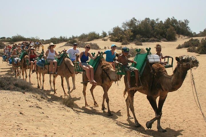 E-Bike and Camel Safari Through Maspalomas Dunes: Ride, Dunes & Oasis photo 6