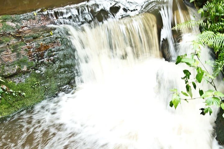 Trek Afadjato & Wli Falls: Eco Volta Adventure Tour from Accra photo 2
