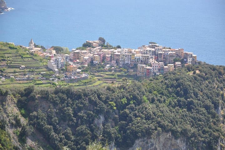 Private Cinque Terre Shore Excursion: Portovenere, Vernazza & Corniglia from La Spezia photo 4
