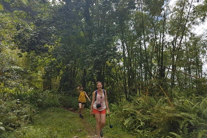 Cap Estate Rainforest Bathing and Waterfall Swim in St. Lucia photo 4