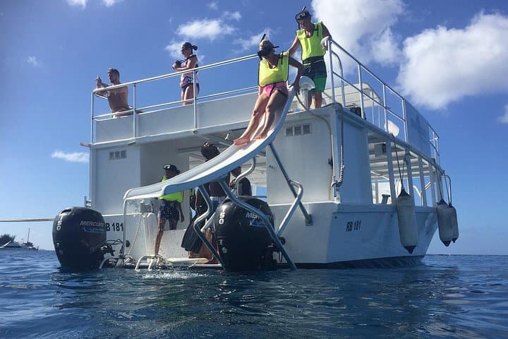 Carlisle Bay Turtle and Shipwreck Snorkel: 90-Minute Barbados Boat Adventure photo 3