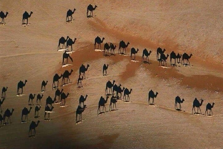 Air-Conditioned Nomadic Desert Camp in Erg Chebbi — Overnight Merzouga Experience photo 2