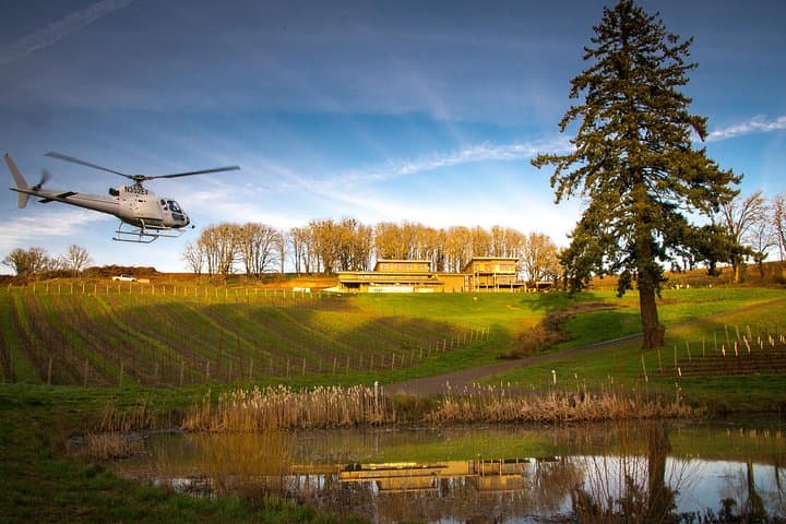 Helicopter Wine Tour in Willamette Valley: Tour DeVine by Heli photo 5