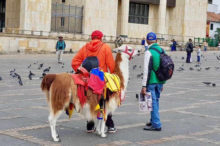 7-Day Bogotá, Villa de Leyva & Barichara Cultural and Nature Circuit photo 4