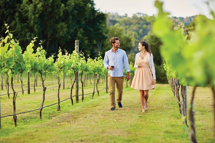 Private Sunshine Coast & Noosa Scenic Day Tour with Lakeside Gourmet Lunch photo 4