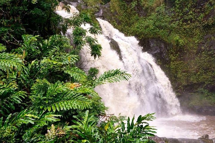 Deluxe Halfway to Hana: Private Half-Day Private Tour from Kahului photo 4
