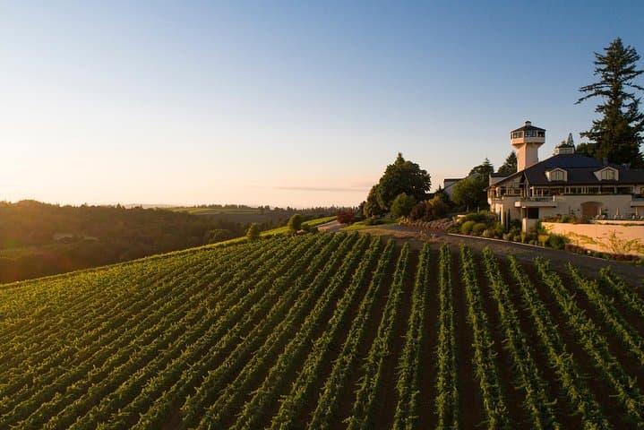 Oregon Priority Wine Tasting Pass: One-Year VIP Access to Pacific Northwest Wineries