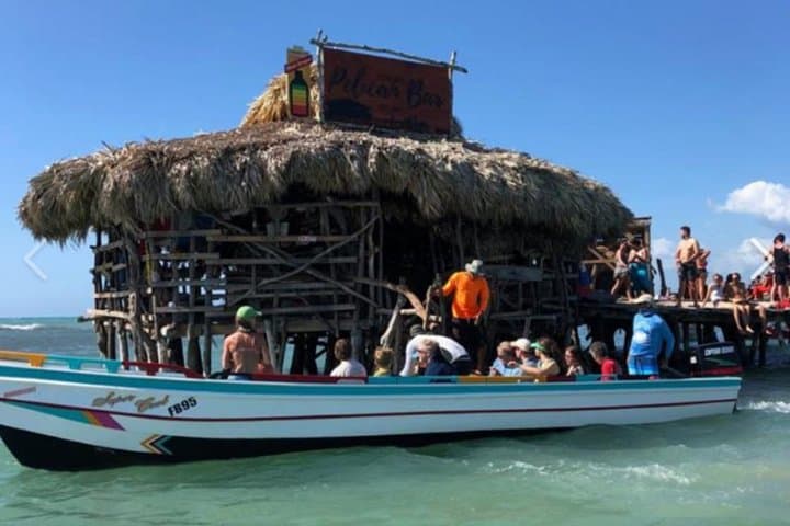 Private South Coast Adventure: Black River Safari, YS Falls & Pelican Bar from Montego Bay photo 3