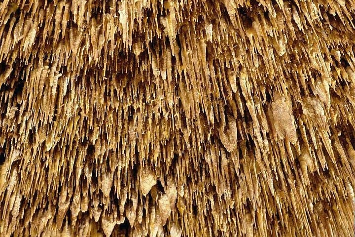 Drach Caves & Porto Cristo Full-Day Tour with Lake Martel Concert photo 4