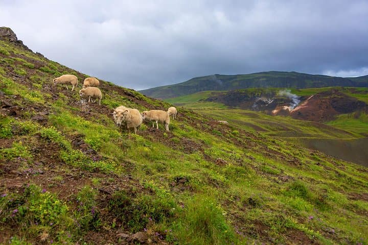 Iceland Game of Thrones Jeep Tour: Thingvellir, Háifoss & Gjáin Day Trip photo 3