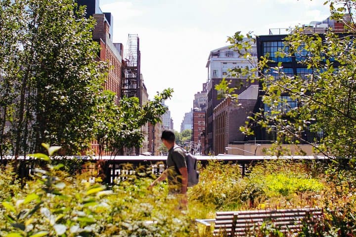 High Line and Chelsea Walking Tour: Morning Small-Group Experience photo 2