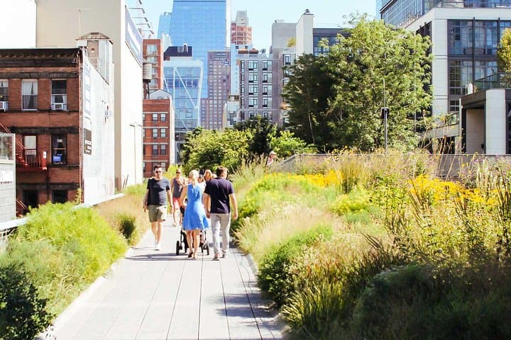 High Line and Chelsea Walking Tour: Morning Small-Group Experience photo 4