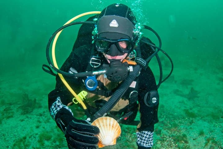 First-Time Scuba in Lofoten: Intro Dive into Arctic Kelp Forests