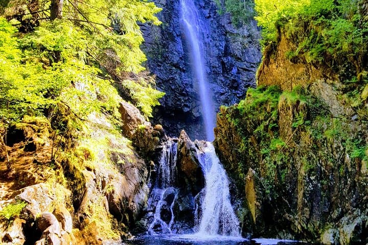 Alternative Loch Ness Day Tour — Glen Affric, Corrimony & Plodda Falls photo 3