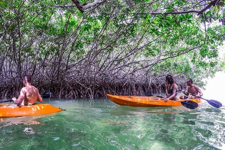 Clearbottom Mangrove Kayak & Snorkel Tour in Lac Bay, Bonaire photo 1