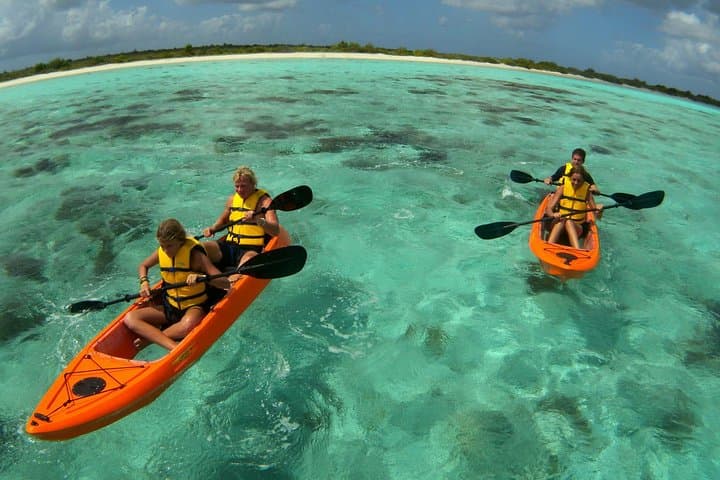 Clearbottom Mangrove Kayak & Snorkel Tour in Lac Bay, Bonaire photo 3