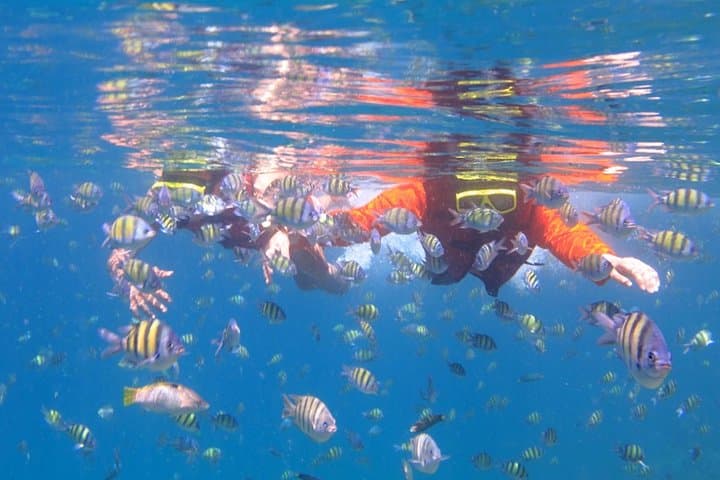 Half-Day Koh Hey Snorkeling: Coral Island Day Trip from Phuket photo 5