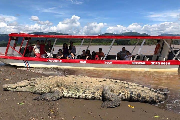 Tarcoles River Crocodile Tour — Classic Boat Cruise from Jaco photo 5