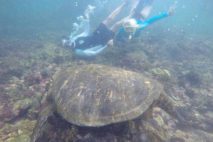 Galapagos 5-Day Hotel-Based Wildlife & Snorkel Tour — San Cristóbal & Santa Cruz photo 4