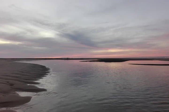 Romantic Sunset Catamaran Cruise in Ria Formosa from Faro photo 5