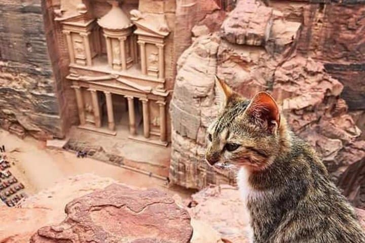 Jordan Family Holiday: Petra, Wadi Rum & Dead Sea — 8-Day Private Family Tour