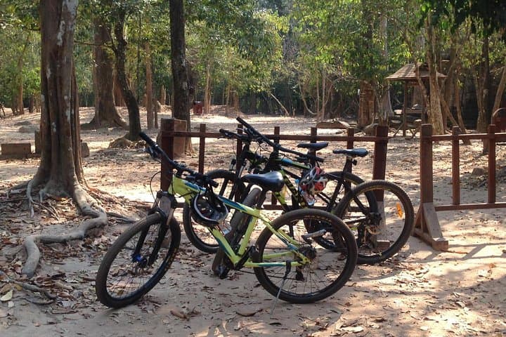 Cycling Angkor: Biking Tour of Angkor Wat, Angkor Thom & Ta Prohm