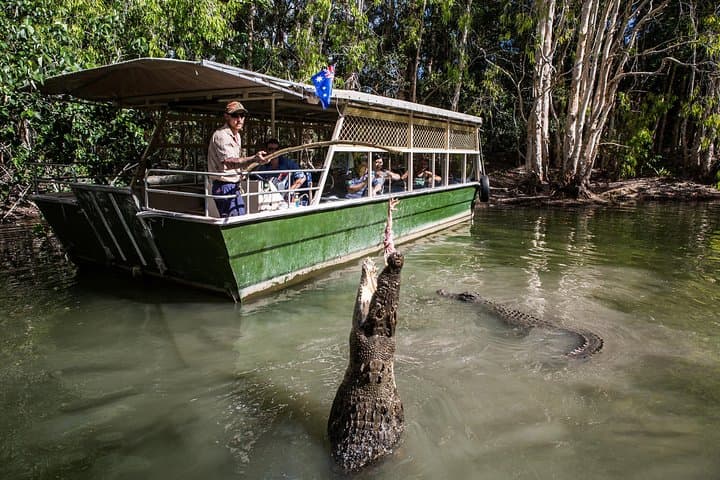Hartley's Crocodile Adventures: Cairns Day Trip to See Crocs, Cassowaries & Wetland Life photo 2
