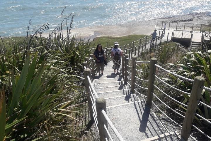 Punakaiki Pancake Rocks & Blowholes: Scenic Tour from Greymouth photo 3