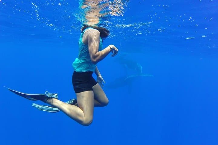 Bora Bora Whale Watching: Humpback Encounters and Hydrophone Listening