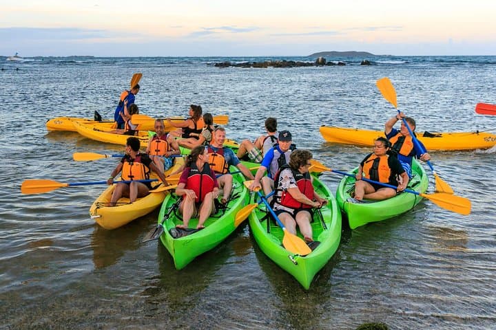 Night Kayaking Laguna Grande Bioluminescent Bay — Guided Tour from San Juan photo 4