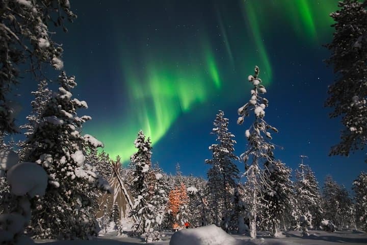 Evening Snowmobile Safari & Campfire in Rovaniemi's Arctic Forests photo 6