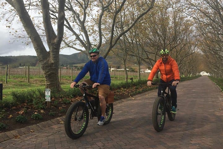 Half-Day E-Bike Wine Tour in Stellenbosch Winelands