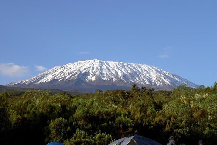 Scaling Mount Kilimanjaro via the Marangu Route: A 6-Day Journey from Rainforest to Summit photo 6
