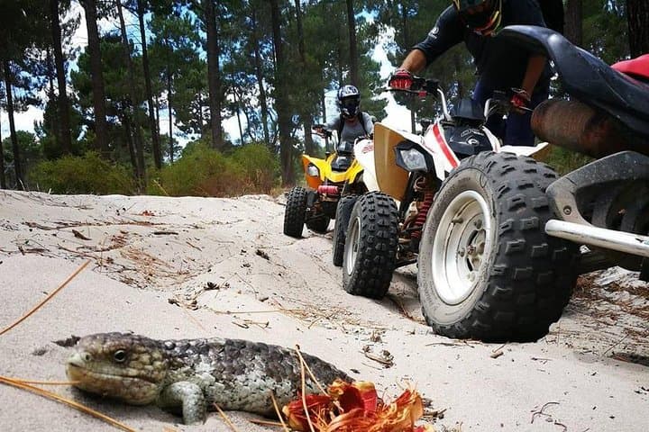 Quad Biking at Pinjar Motorcycle Area — 1-Hour Tours Near Perth