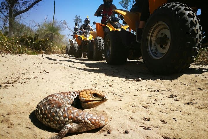 Quad Biking at Pinjar Motorcycle Area — 1-Hour Tours Near Perth photo 6