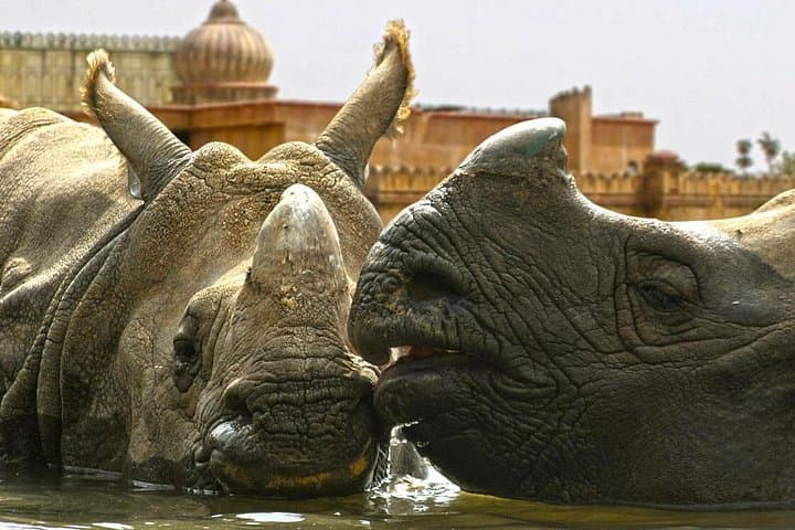 Terra Natura Benidorm: An Immersive Zoo Experience on Spain’s Costa Blanca photo 2