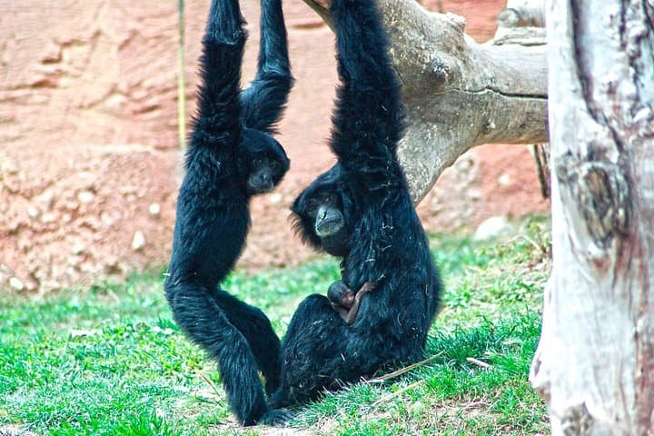 Terra Natura Benidorm: An Immersive Zoo Experience on Spain’s Costa Blanca photo 4