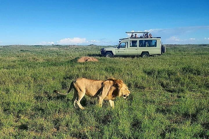 One-Day Akagera Wildlife Safari: Day Trip from Kigali to Rwanda's Savannah