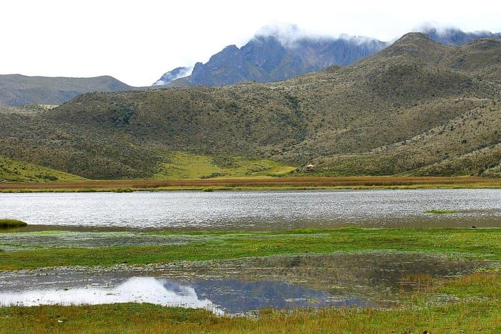 Cotopaxi Full-Day Adventure: Limpiopungo Lagoon, José Rivas Refuge & Andean Views photo 5